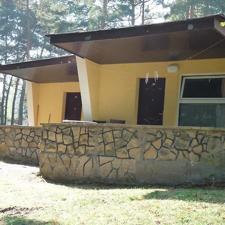 Osrodek Wypoczynkowy Jelonek Hotel Wolsztyn Luaran gambar